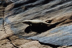 escalante092