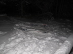 IMG 7350