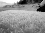 IMG 7368
