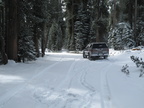 IMG 7381