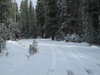 IMG 7382