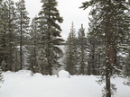 IMG 7385