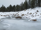 IMG 7390