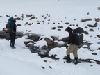 IMG 7397
