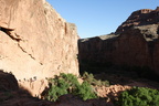 Havasupai 2007 033