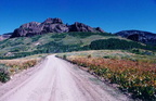 jarbidge