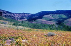 jarbidge05