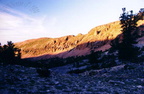jarbidge24