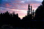 jarbidge25