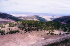 jarbidge37