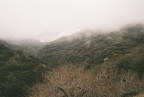 IMG 2494a