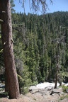 IMG 6087