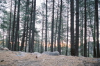 050317 cyag camping05