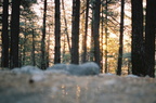 050317 cyag camping06