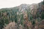 050317 cyag camping26