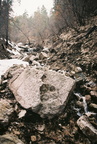 050317 cyag camping29