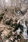 050317 cyag camping30