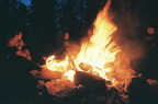 050317 cyag camping37