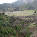 Johns_IMG_6554.jpg