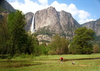 yos01003