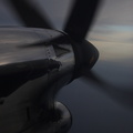 Survival_Trip_04_10_185.jpg