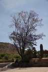 taliesin-west