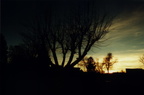 0201 Sunset05