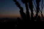 sunsets