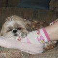 Beckys_0685.jpg