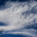 ElPasoWorkFlight_Beechcraft_36.jpg