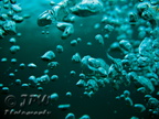 G12 IMG 5784