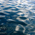 IMG_6766.jpg