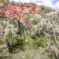 IMG 7217