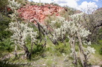 IMG 7217