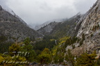 IMG 7264