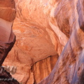 Paria Canyon 2010 097