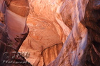 Paria Canyon 2010 097