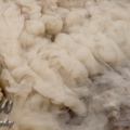 Paria Canyon 2010 416