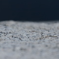 IMG 8733