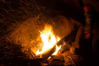 IMG 8791