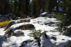 IMG 8985