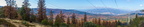 IMG 9042-Pano