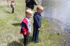 IMG 4906