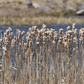 IMG 4976