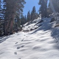 PXL_20211104_184559074_.jpg