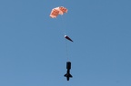 IMG 8118