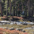 PXL_20231103_185306632_.jpg