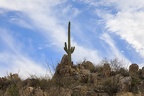 IMG 2357