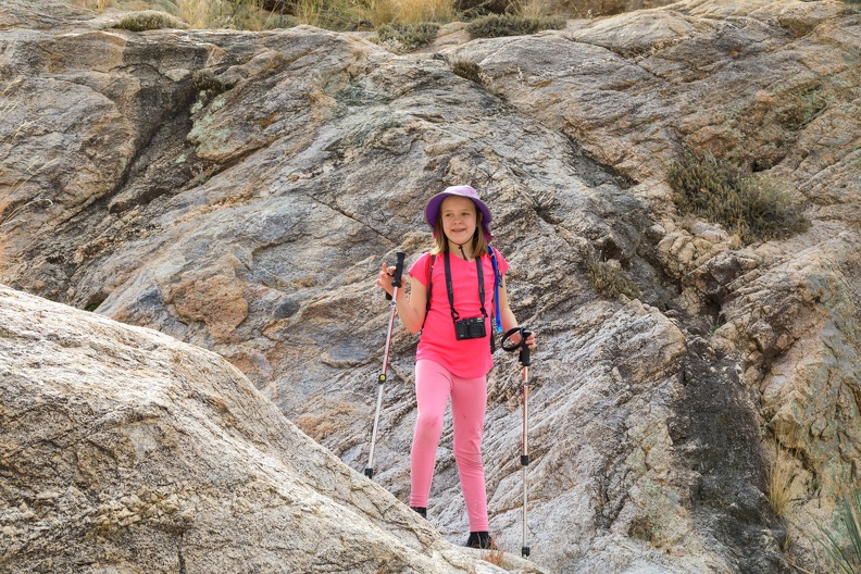 IMG 2386