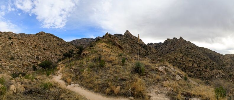 IMG 2432-Pano